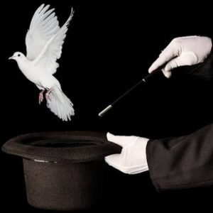 Dove Magic
