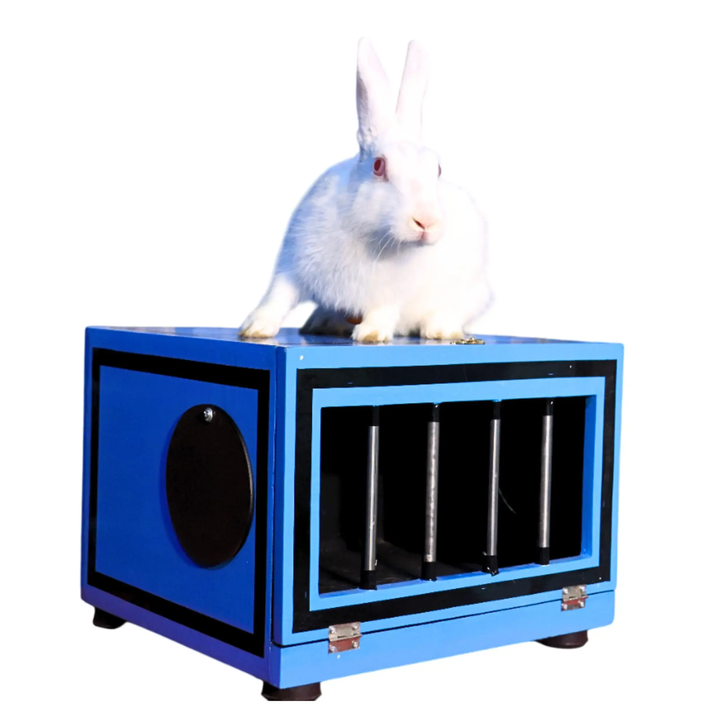e89zosLF