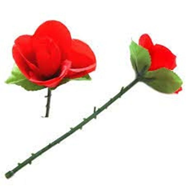 FOLDINGROSE